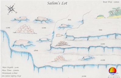 Salims Lot